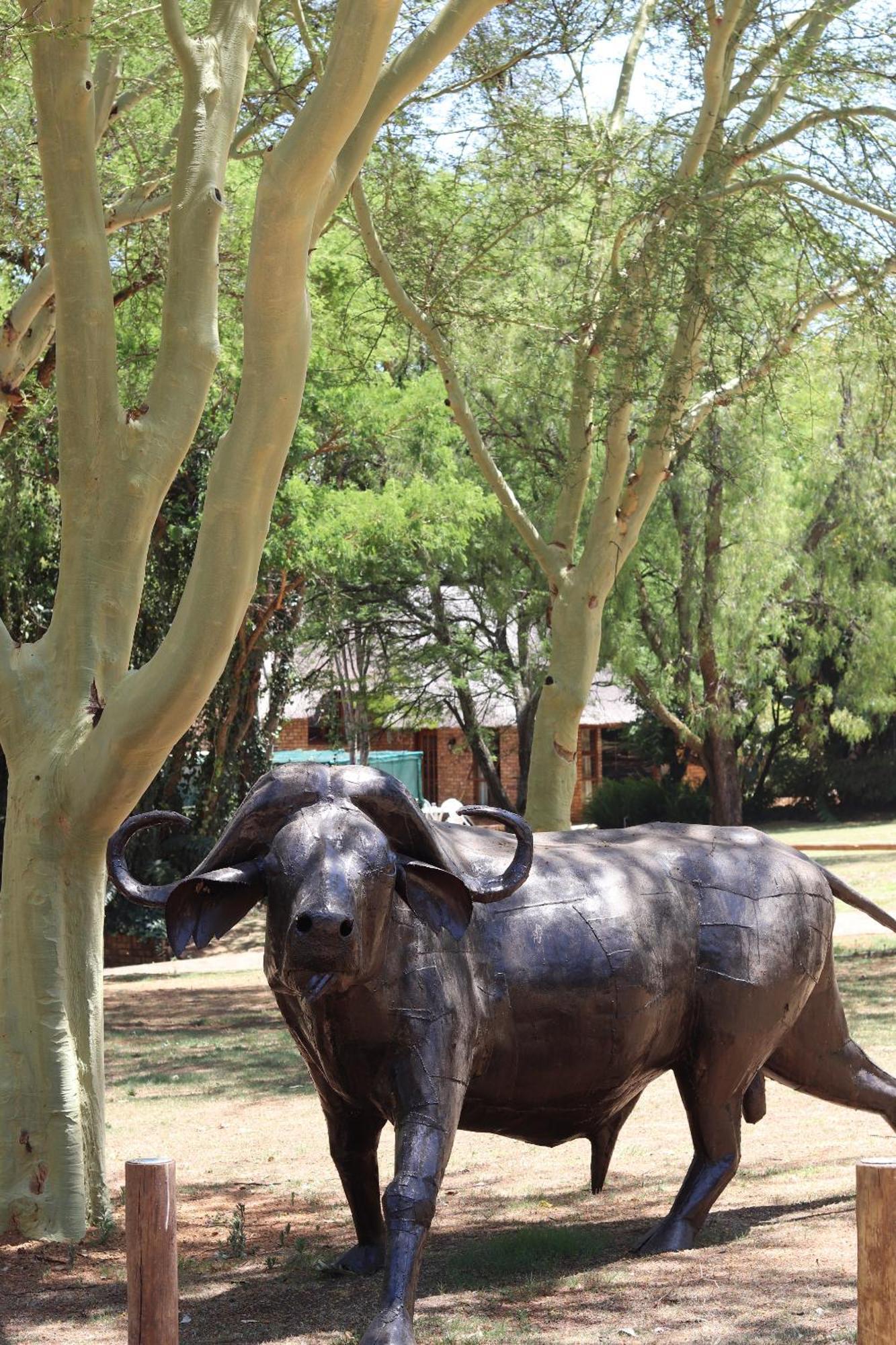 מידרנד Khaya Africa Guesthouse מראה חיצוני תמונה