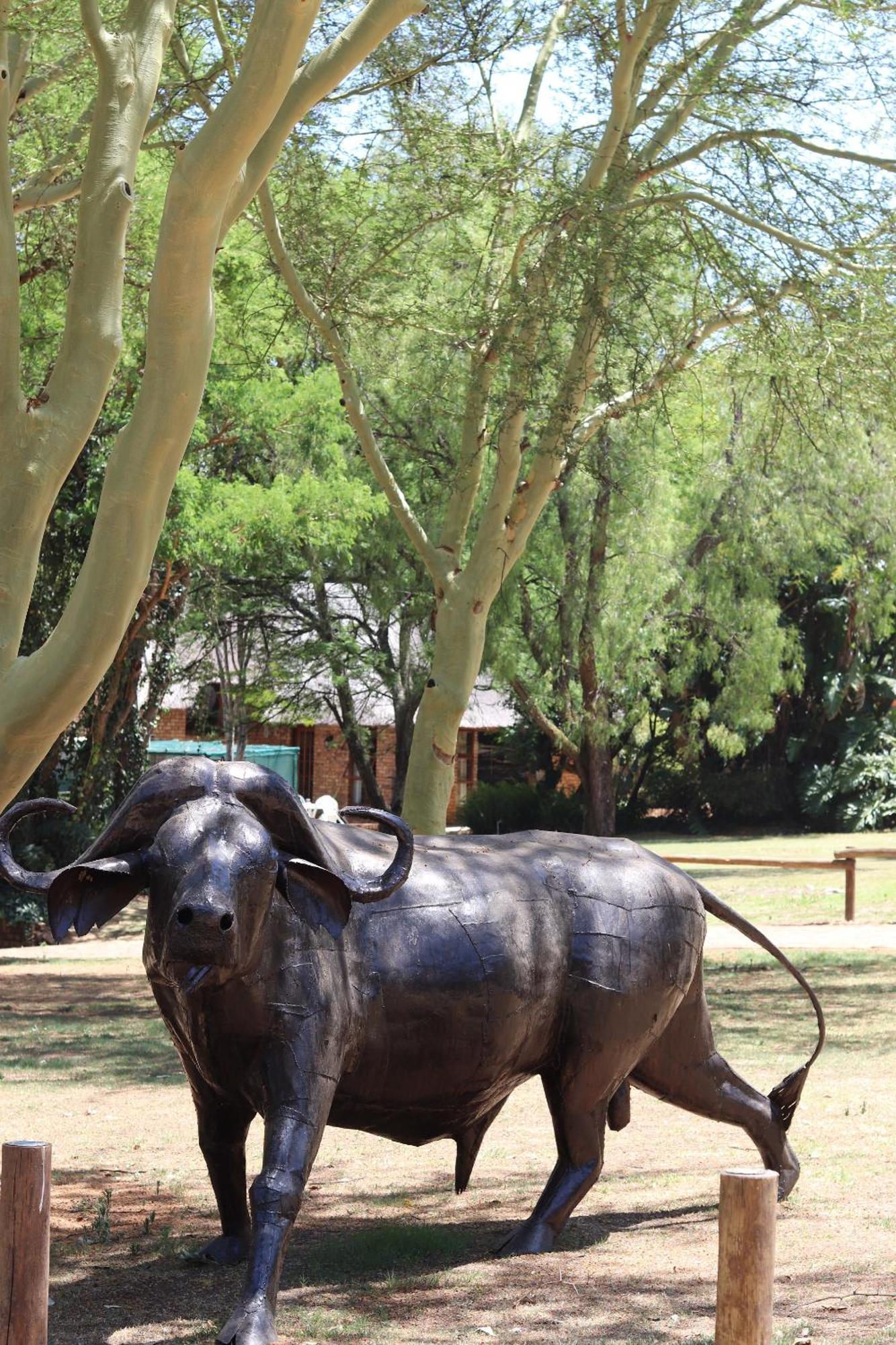 מידרנד Khaya Africa Guesthouse מראה חיצוני תמונה